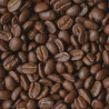 Café Grains Bio Max Havelaar - Café 100% Arabica - Cafés FOLLIET