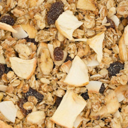 GRANOLA AUX FRUITS - 600G