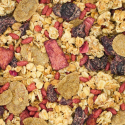 GRANOLA FRUITS ROUGES - 600G