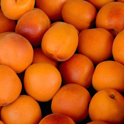 CONFITURE EXTRA ABRICOTS - 500G