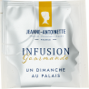 INFUSION UN DIMANCHE AU PALAIS BIO x 20