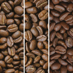 Cafés en grains 3x1kg - Authentique