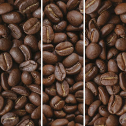 Cafés en grains 3x1kg - Best Seller