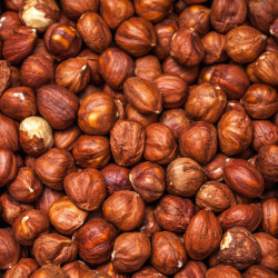 Sirop 1883 Noisette – Saveur pralinée irrésistible | Cafés Folliet