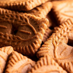 Sirop 1883 Spéculoos – Saveur biscuit intense | Cafés Folliet