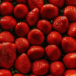 Topping 1883 Fraise – Coulis fruité | Cafés Folliet
